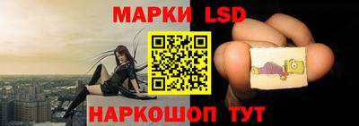 ПСИЛОЦИБИНОВЫЕ ГРИБЫ Новозыбков