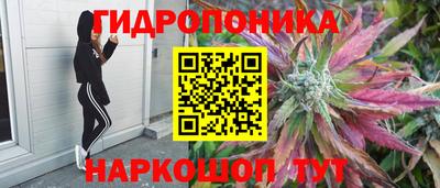 амфетамин Новодвинск